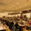 IMG 2199 bis