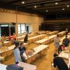 IMG 7385-bis
