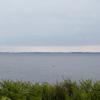 IMG 5691 bis
