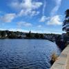 IMG 7787